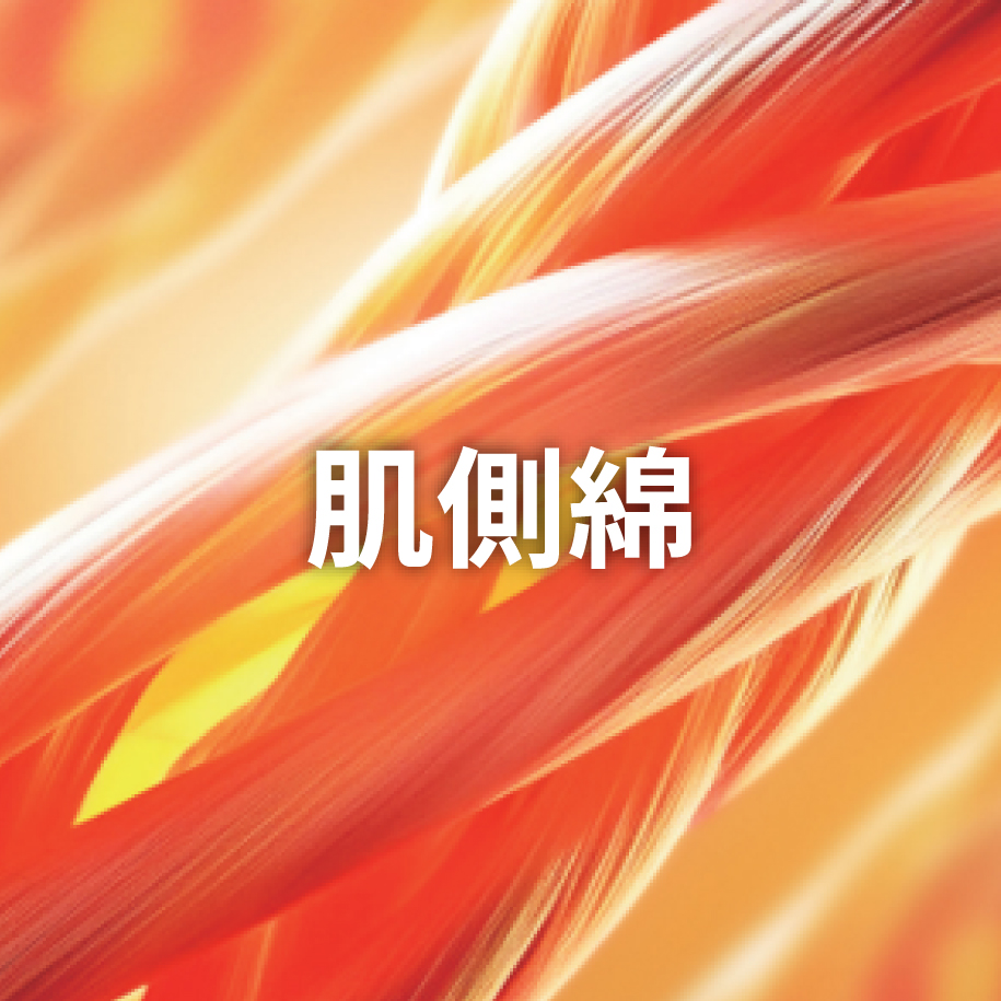 肌側綿