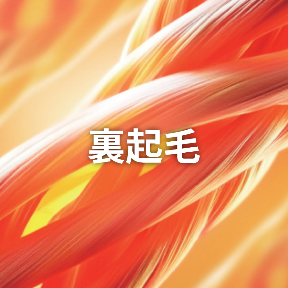 裏起毛
