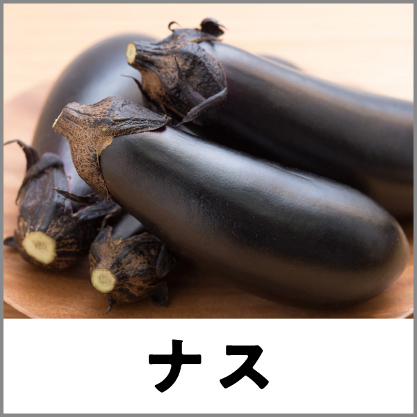 ナス