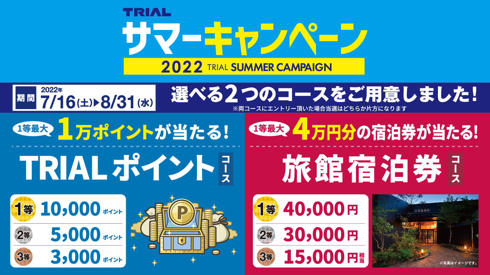 仕入れ先 【7/5限定☆抽選で2人に1人最大100%ポイントバック☆要