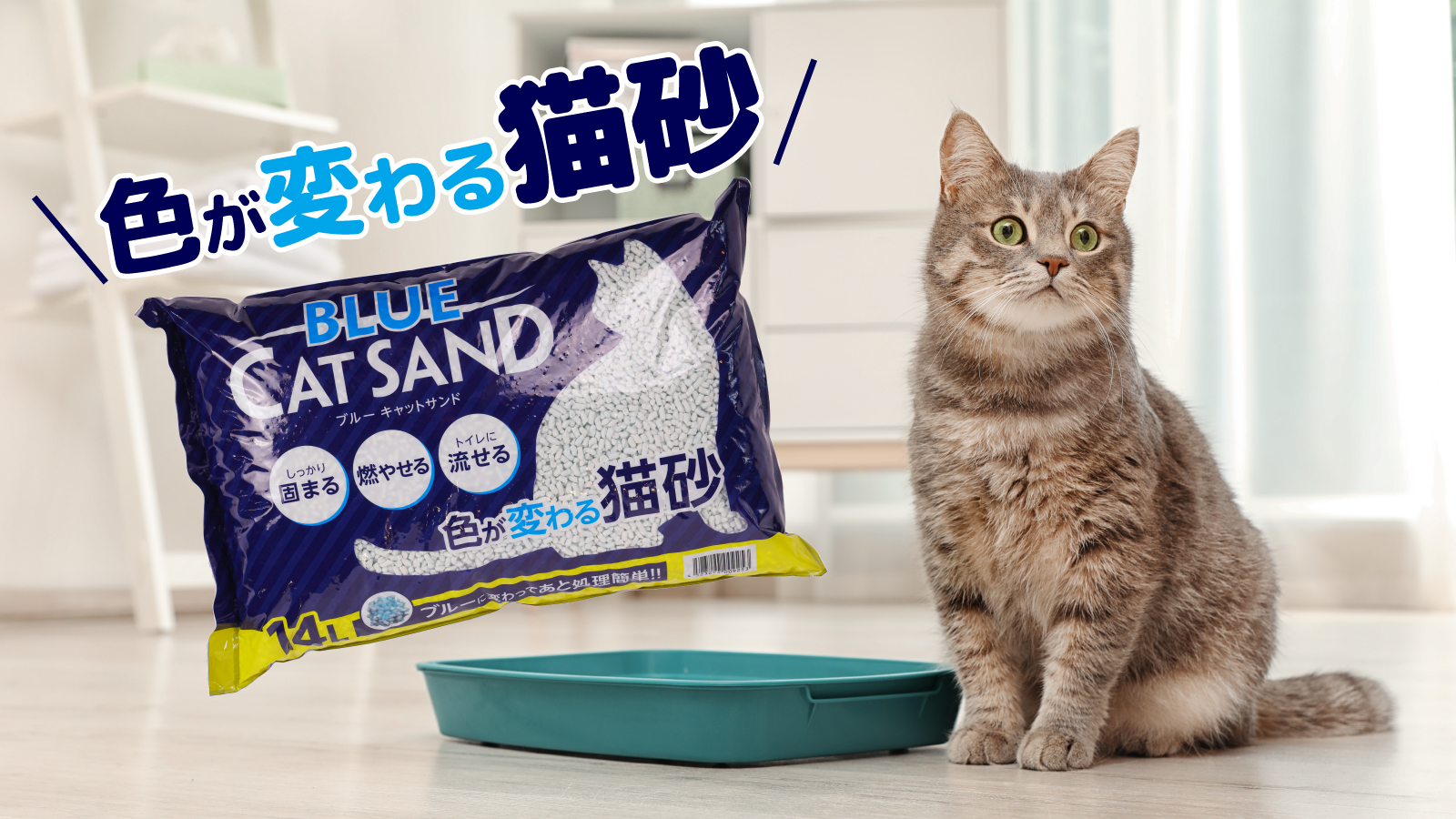 進化し続ける猫砂、どれを選ぶ?キレイ好きなネコのトイレ事情