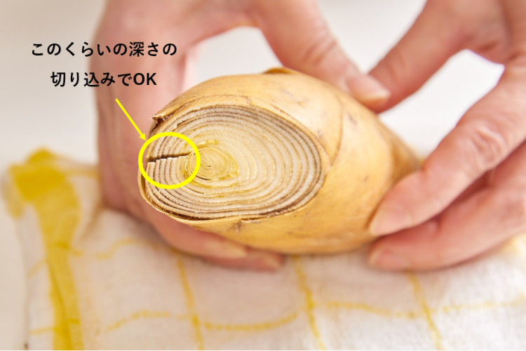 たけのこのあく抜き：繊維にそって切り込みを入れる