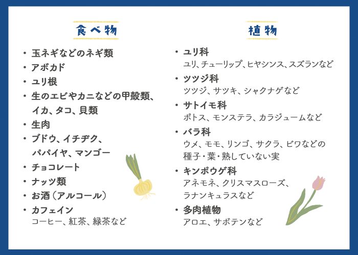 猫に与えてはいけないもの