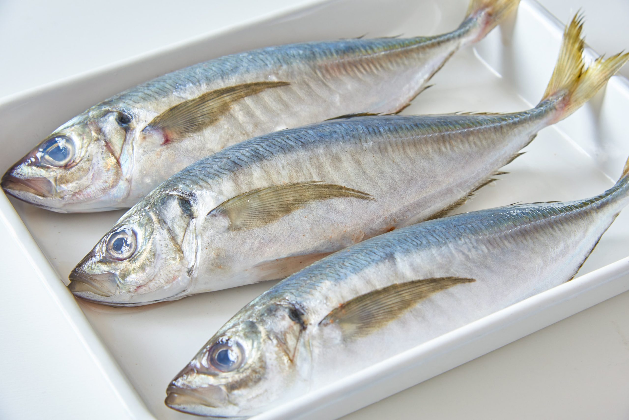 アジの旬は初夏！プロが教える選び方、おすすめの食べ方を紹介 