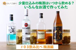 少量仕込みの梅酒はいつから飲める？色んなお酒で作ってみた