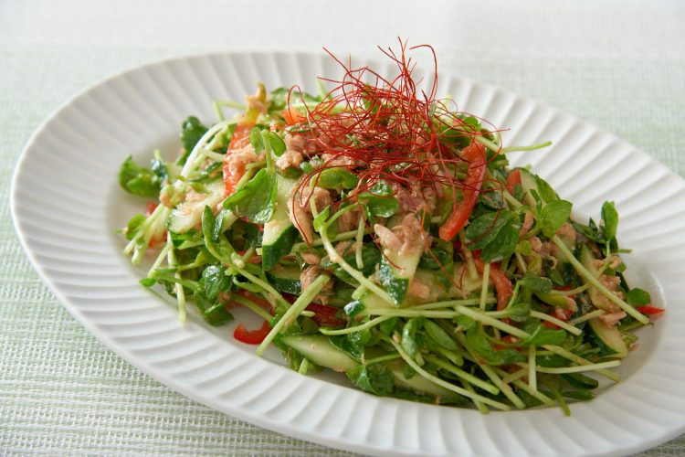 豆苗とツナの中華風ごまドレッシング