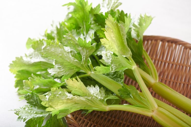 セロリの葉も捨てずに食べよう!香りと食感を活かしたレシピ - くらしトライ