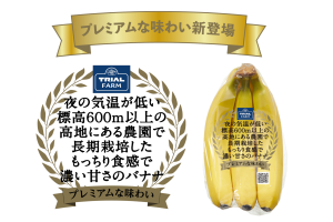 高地栽培で甘さが濃くもっちりとした食感に、高品質バナナ新発売！