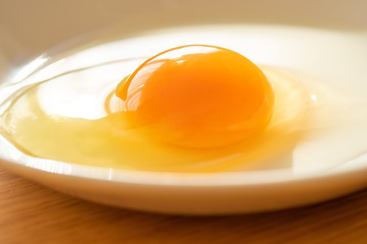 生卵