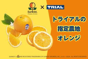 カリフォルニアの豊かな環境ではぐくまれた甘いオレンジを発売！