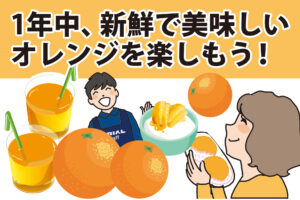 果汁たっぷりで甘味と酸味のバランスが絶妙！オーストラリア産オレンジ