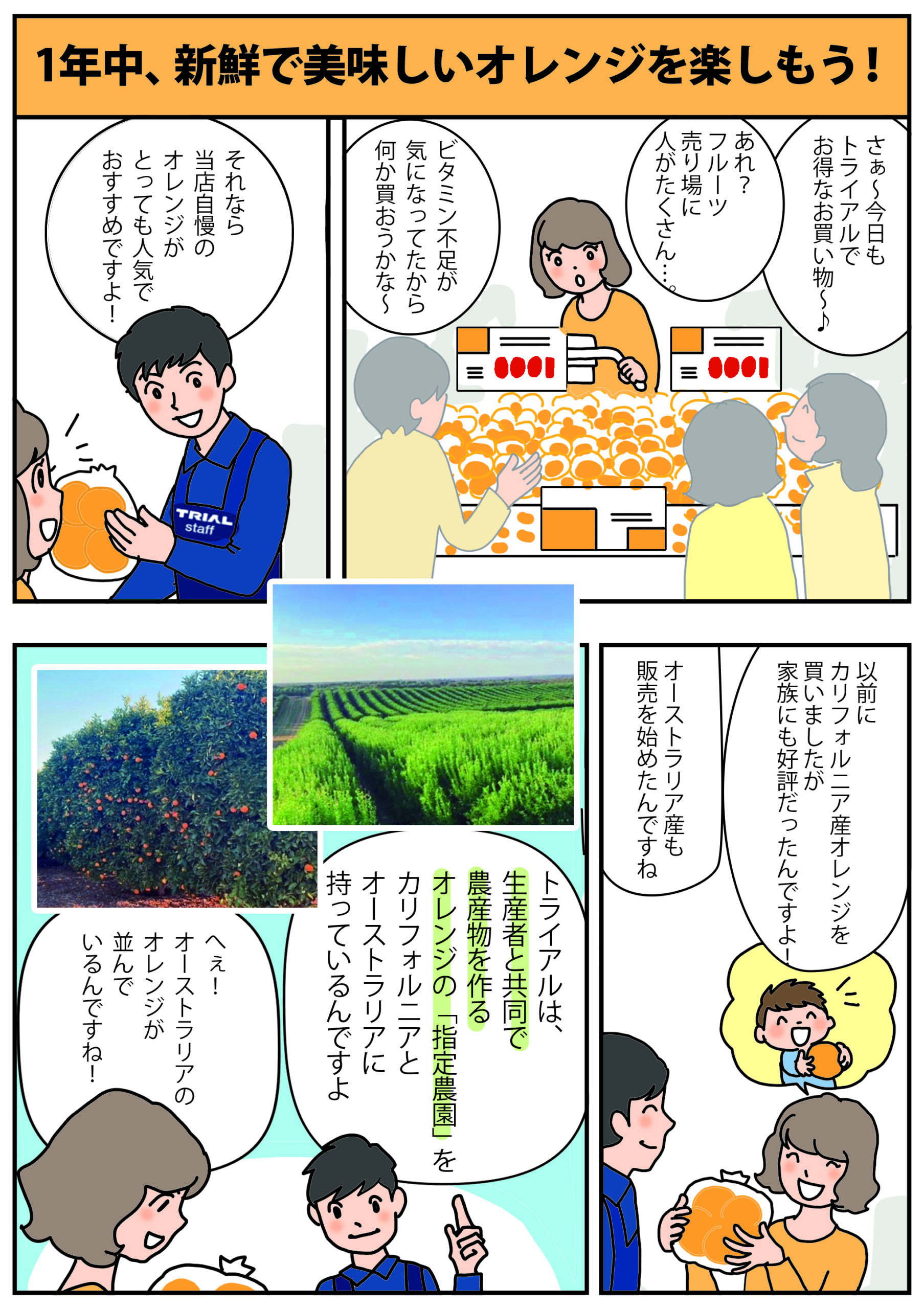 果汁たっぷりで甘味と酸味のバランスが絶妙!オーストラリア産オレンジ①