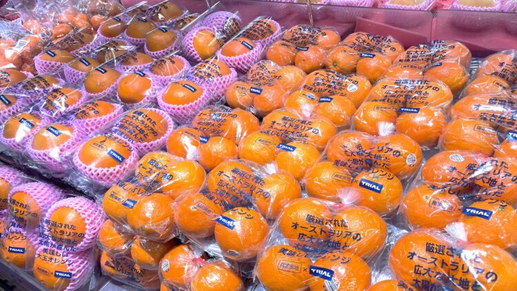 オーストラリア産オレンジ売り場