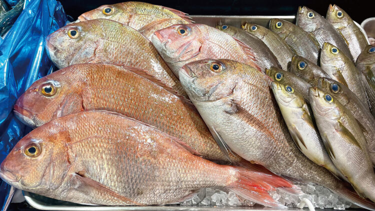 脂質の少ない肉類や魚介類