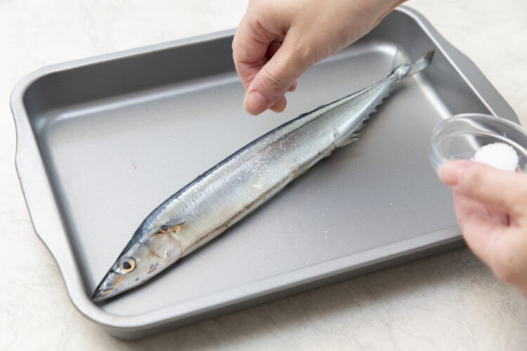 サンマに塩を振る