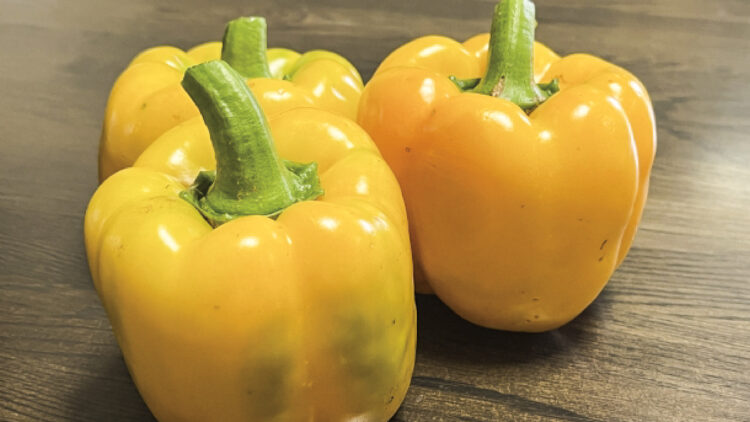 パプリカやピーマンは、野菜の中でもビタミンCの含有量が特に優れています。