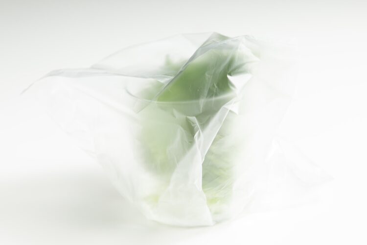 大葉にビニールをかける