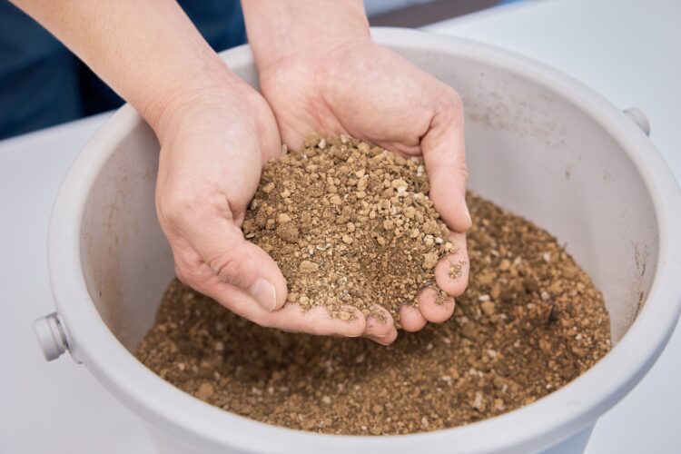 観葉植物の土の選び方