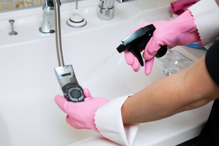 蛇口にスプレーをかける