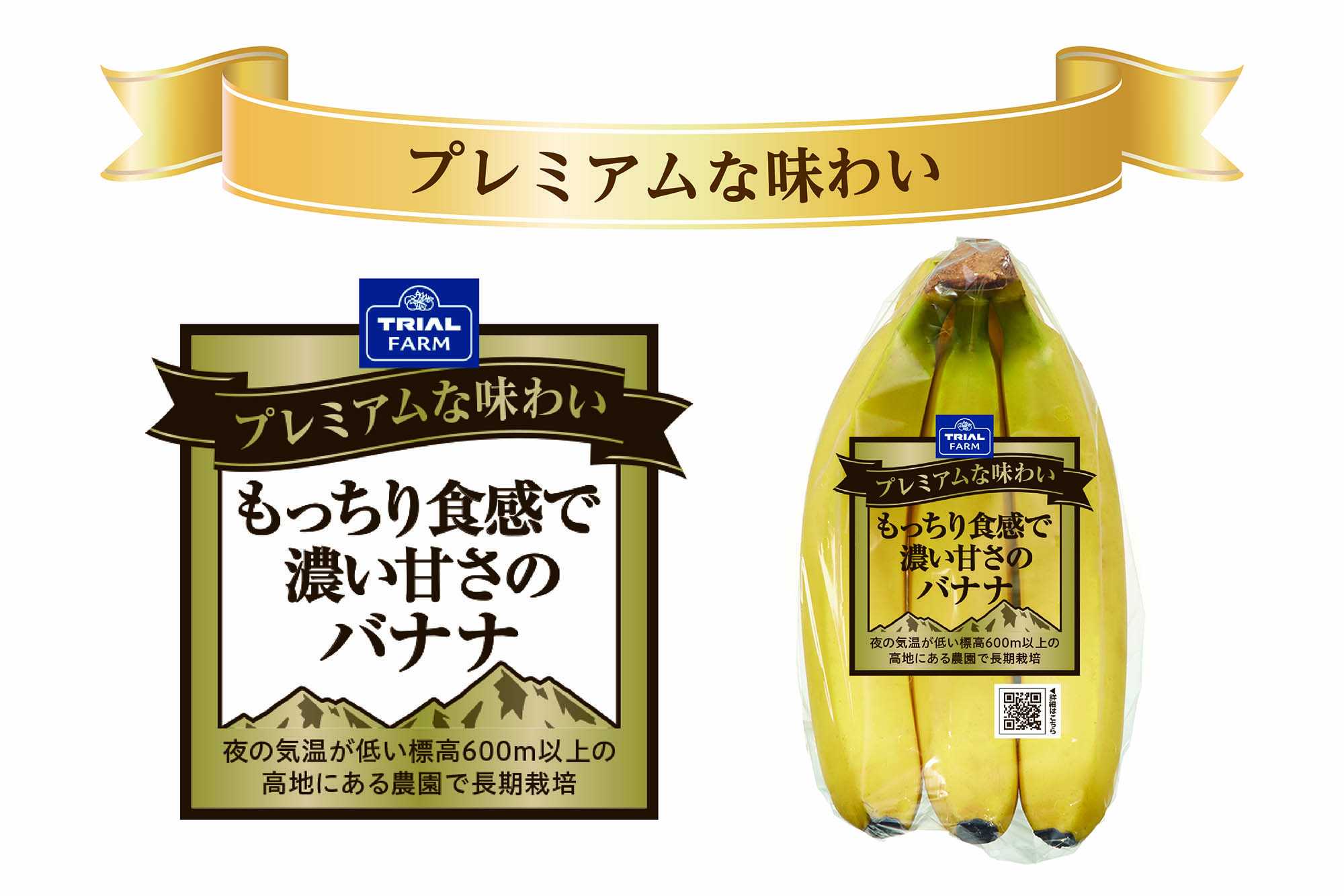 高地栽培で甘さが濃くもっちりとした食感に、高品質バナナをご紹介!