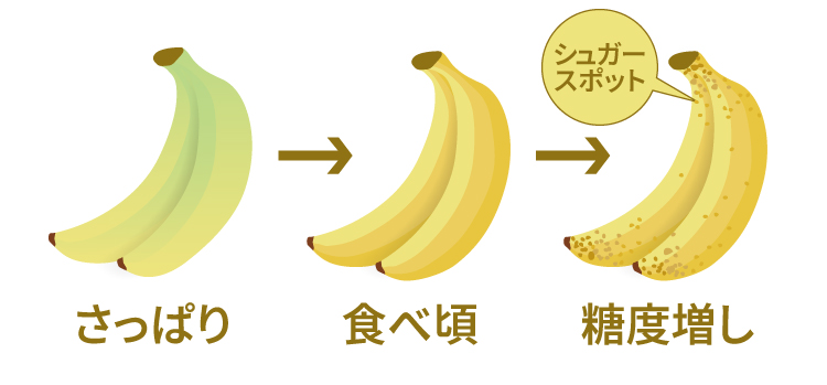 バナナの食べ頃の目安
