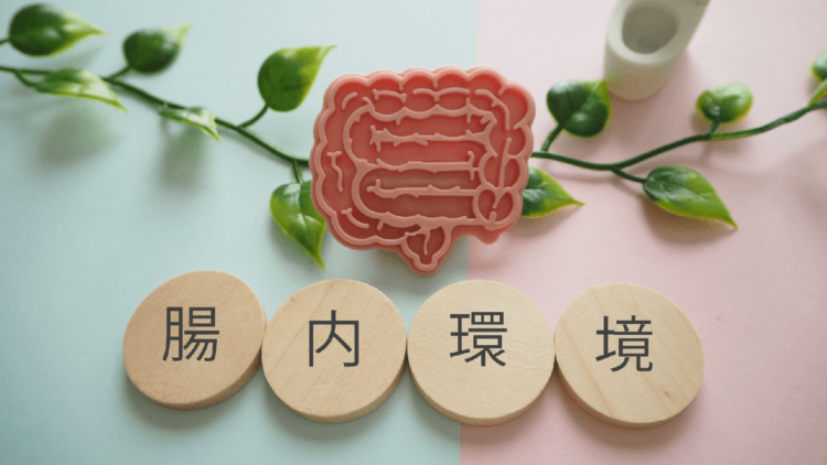 花粉症に効く食べ物はある?腸内環境を整える