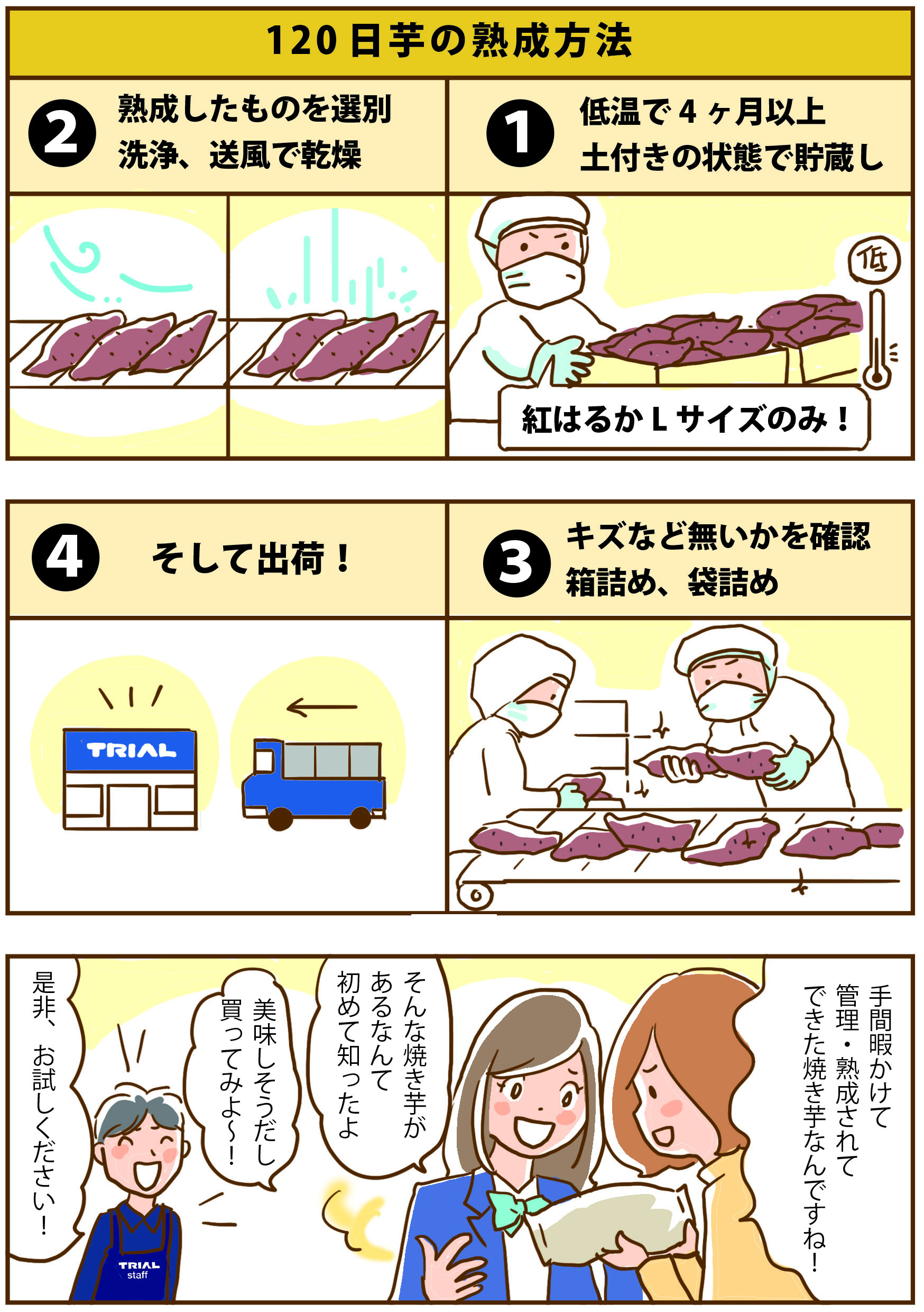 もう味わった?蜜たっぷりでとろける食感「120日焼き芋」2ページ目