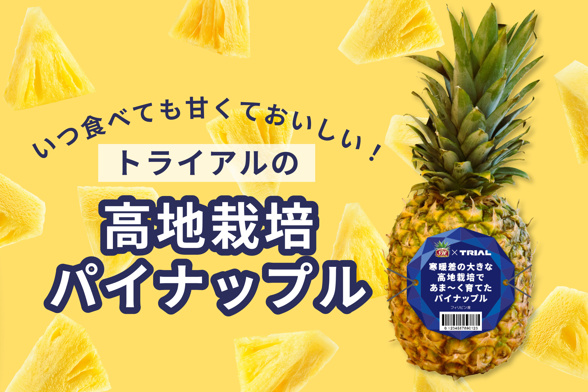 あま〜い!コスパ最高のトライアルのパイナップルは高地栽培で驚きの甘さ