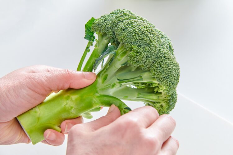 茎や葉をちぎる