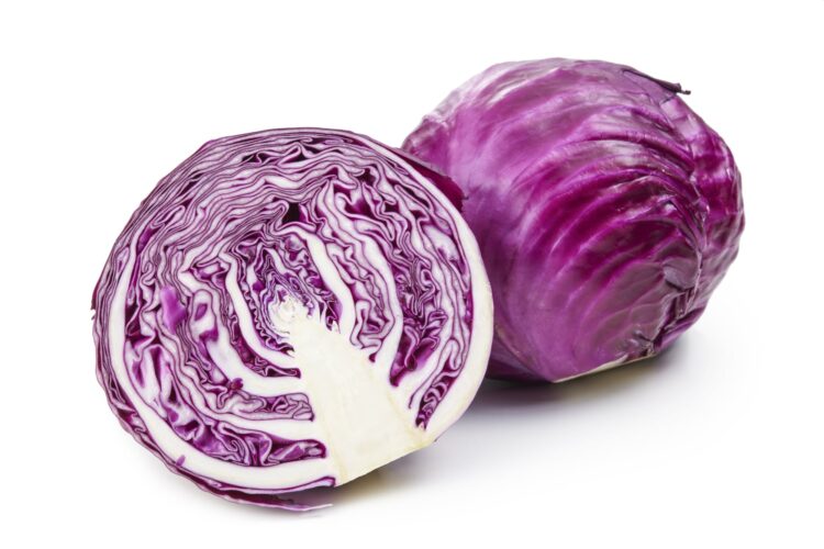 紫キャベツ（レッドキャベツ・赤キャベツ）