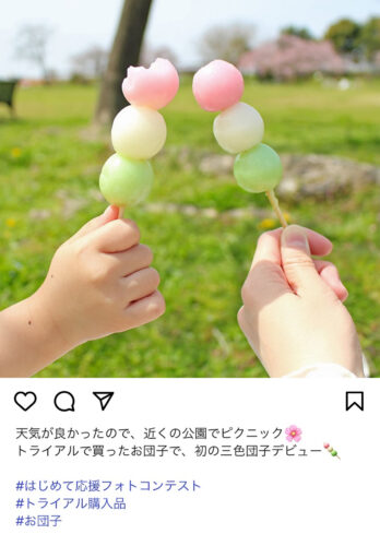 投稿例(ピクニックをしている様子)