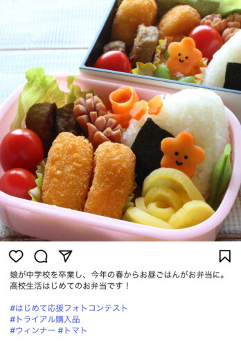 投稿例(初めてのお弁当)