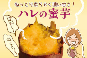 もう味わった？蜜たっぷりでとろける食感「ハレの蜜いも」