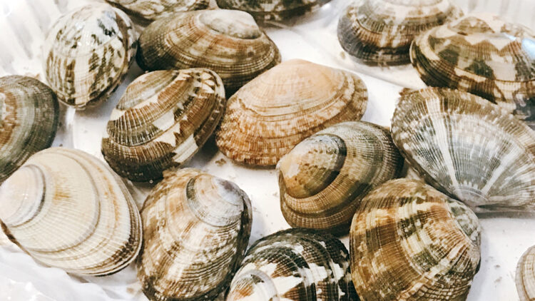 鉄分が豊富な食べ物と吸収を助ける食べ物_あさり