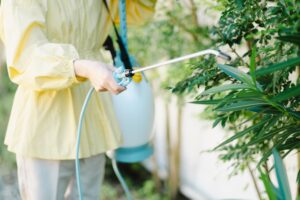 除草剤の正しい使い方とは？種類ごとの特徴や注意点を解説