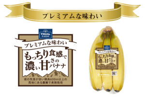 高地栽培で甘さが濃くもっちりとした食感に、高品質バナナをご紹介！
