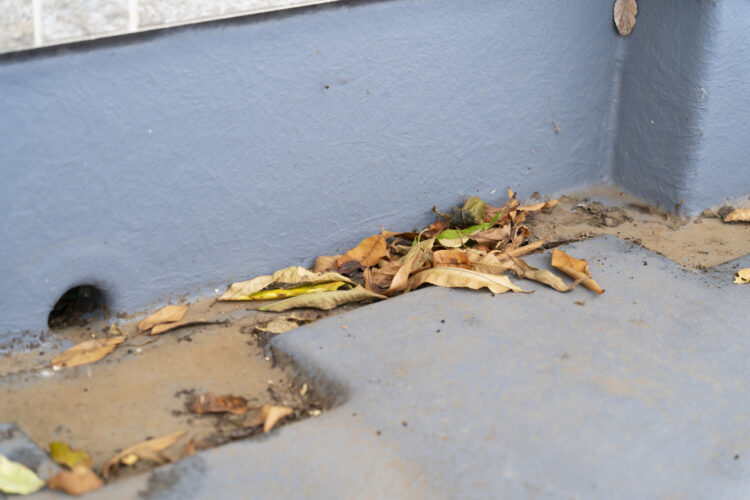 ベランダ汚れの原因