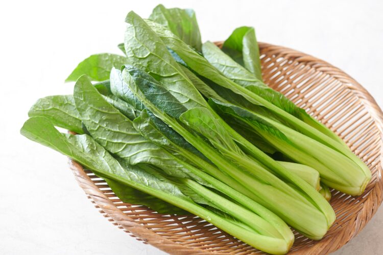小松菜の栄養と効能