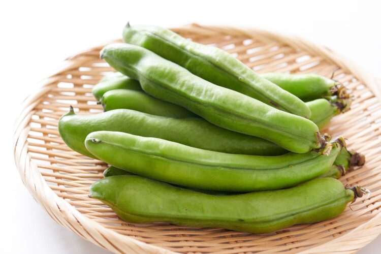 新鮮なそら豆の選び方