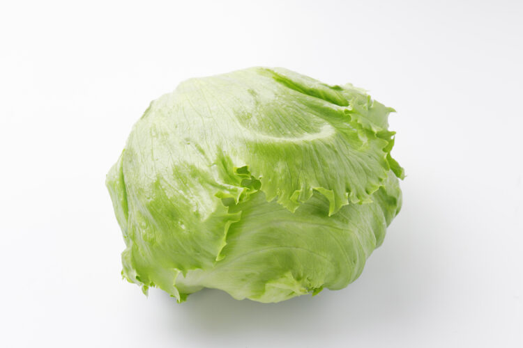 玉レタス（クリスプヘッド型）