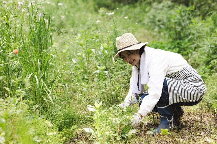 目的ごとの除草剤の種類