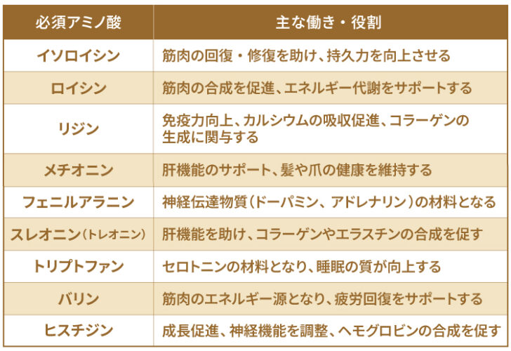 納豆に含まれる必須アミノ酸の種類と主な働き