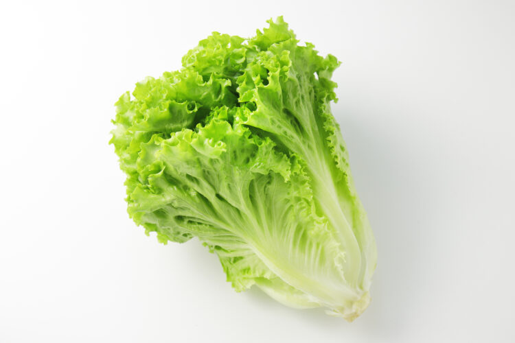 リーフレタス