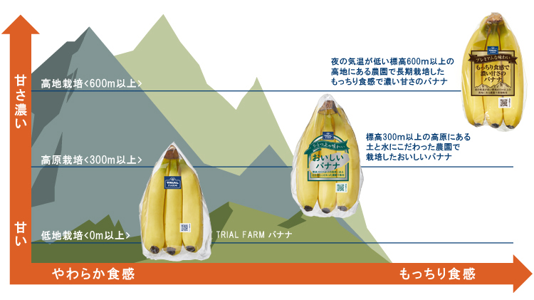標高300mの高原でじっくり、ゆっくり生育することがポイント