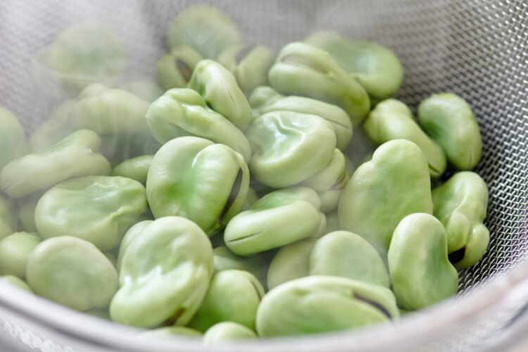 茹で上がったそら豆はどう食べる？