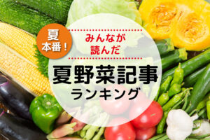 夏本番！みんなが読んだ夏野菜記事ランキング！