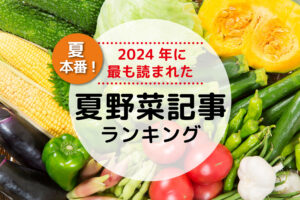 夏本番！みんなが読んだ夏野菜記事ランキング！