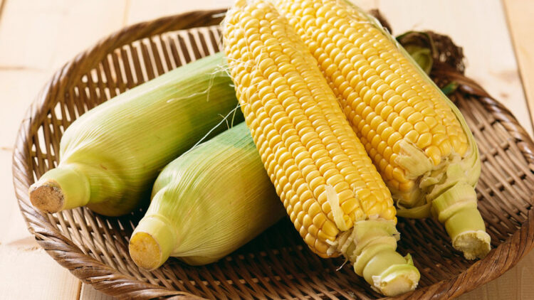 皮付きのとうもろこし