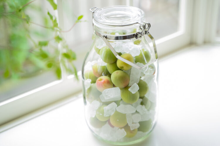 梅シロップの下準備から完成まで