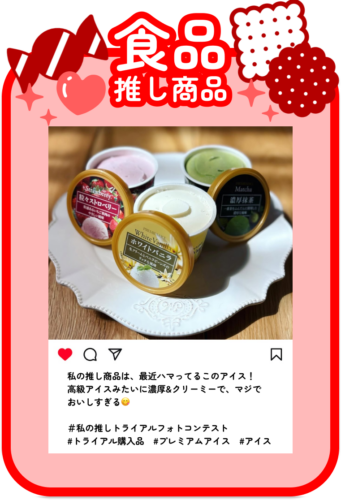 食品推し商品投稿例